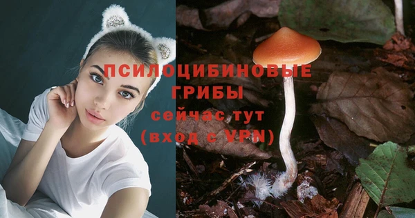 первитин Белокуриха