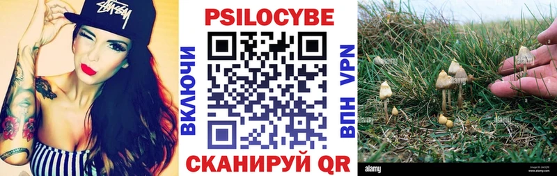 Купить где  Стародуб  Псилоцибиновые грибы мухоморы 